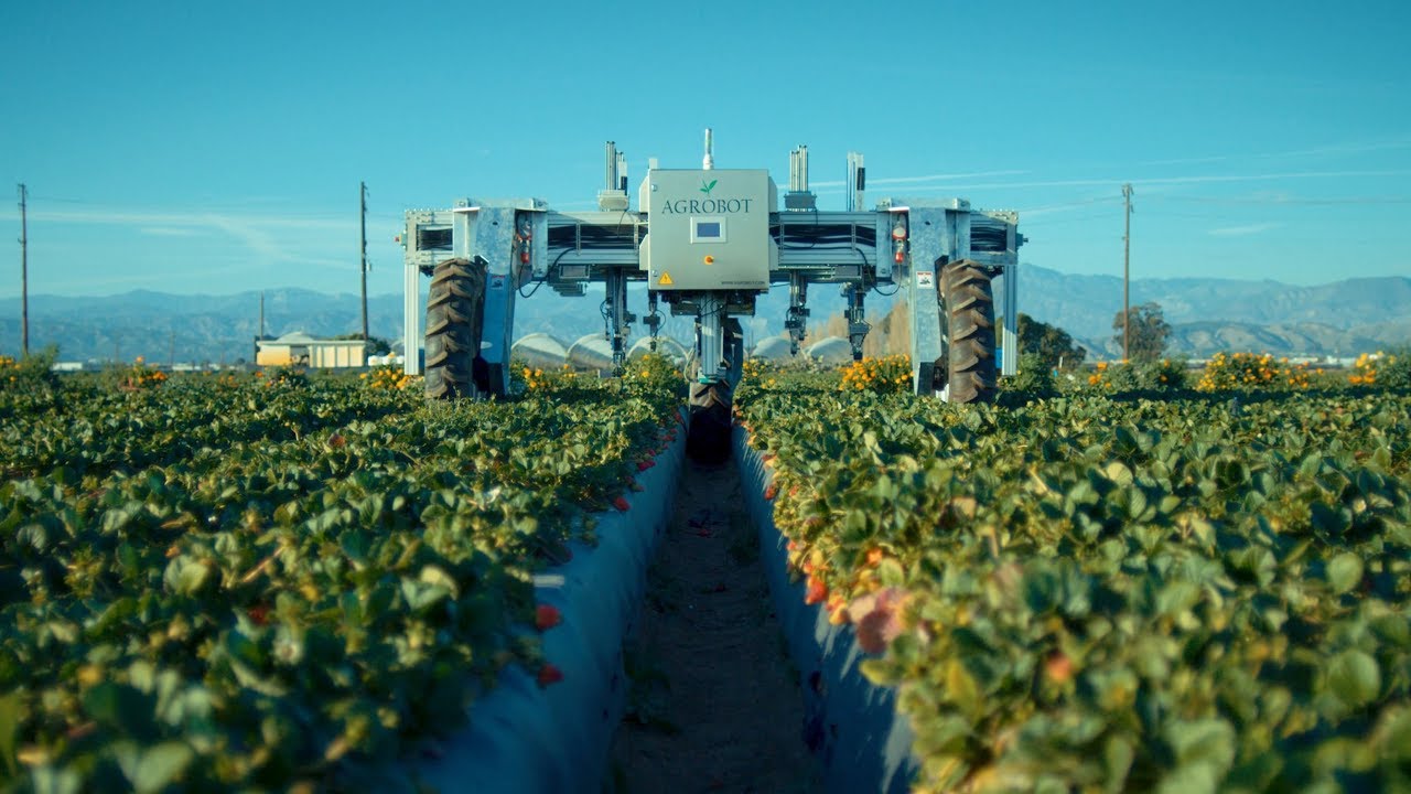 ai in agriculture statistics